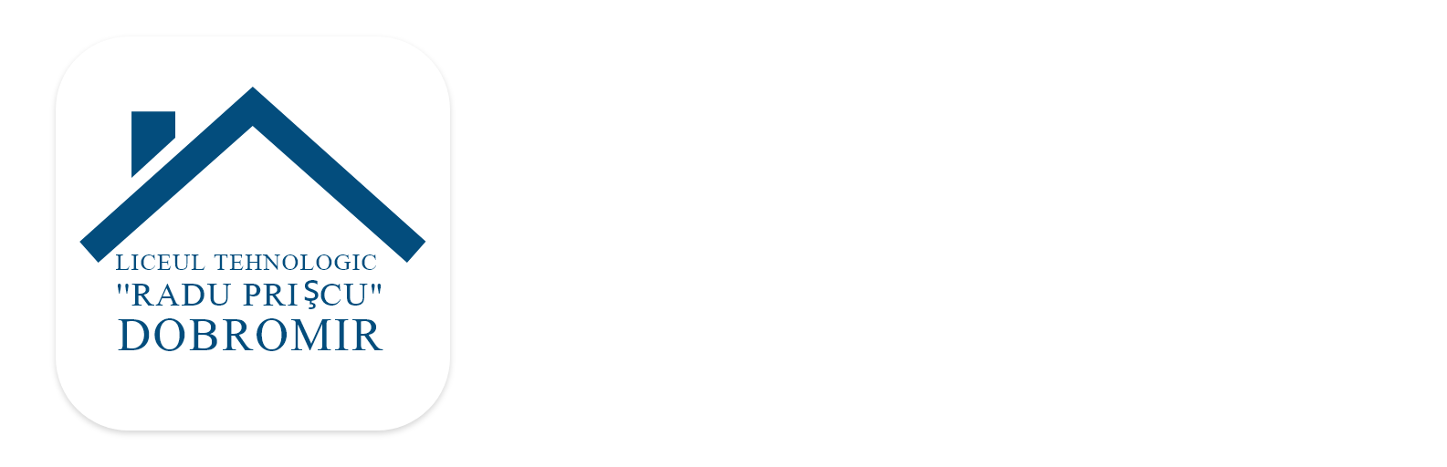 Liceul Tehnologic Radu Priscu Dobromir